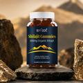 Jiabeikang New Design Wholesale Health Food Supplements Pure Himalayan Shilajit Gummies